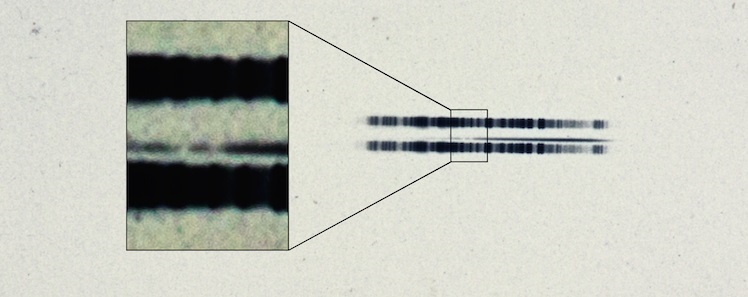van Maanen 2 spectrum